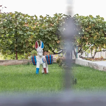 Lusani * スプリト